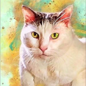 Meet your Posher, Carolee